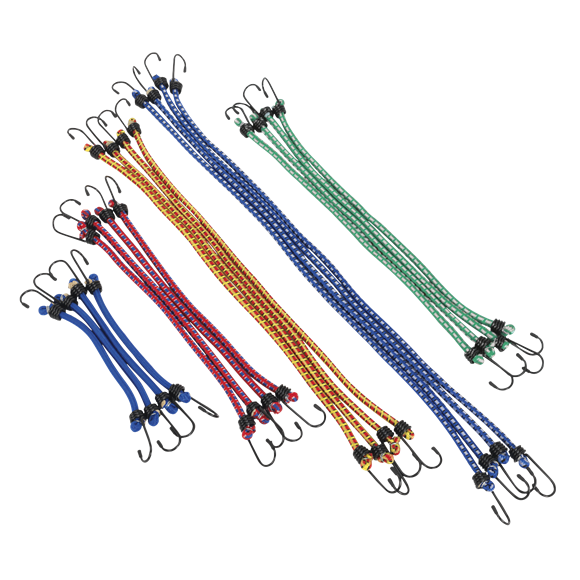 Sealey Elastic Cord Set 20pc Bungee Tie Down for Workshop