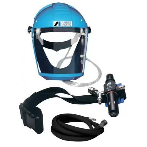 Anest Iwata 2020 Full Face Airfed Mask Kit