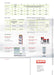 Sata Spray Gun RPS Cups 0.3 litre, 5 cups